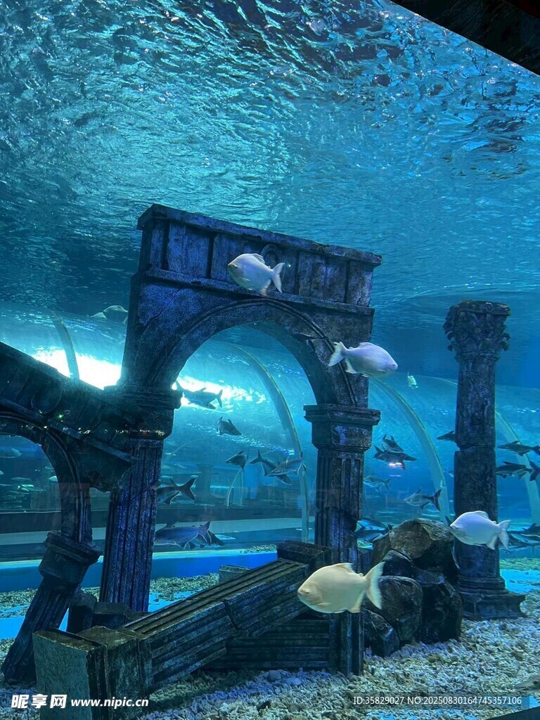 梦幻海底景观