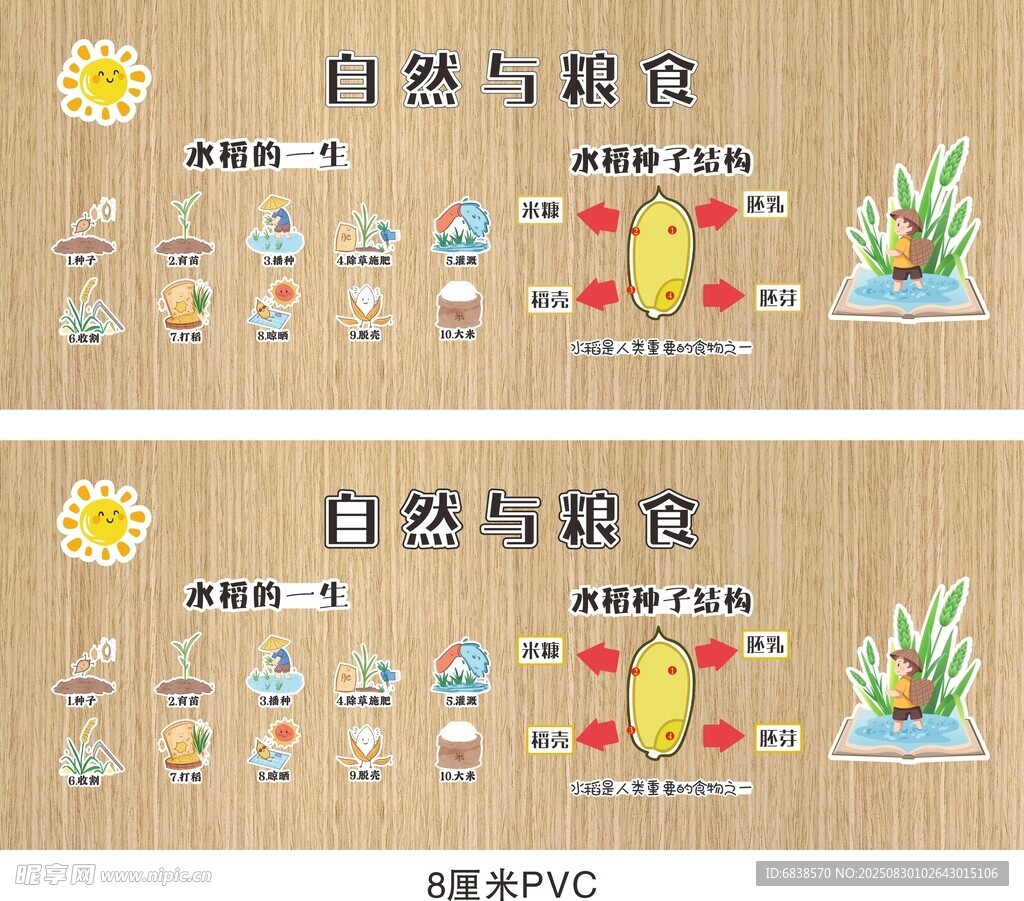 自然取食科普图示