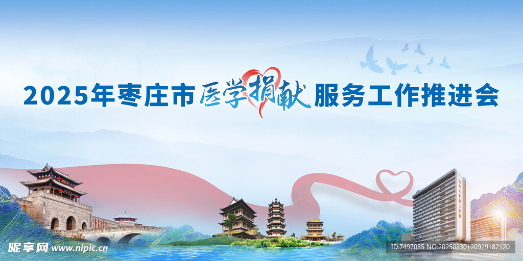 会议背景 