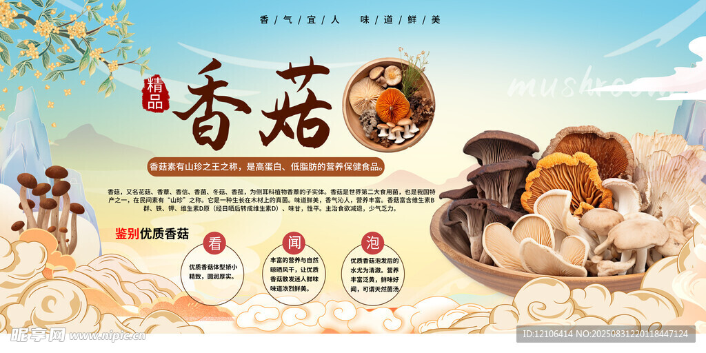 香菇蘑菇海报