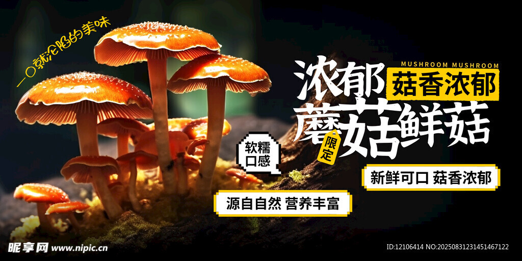 蘑菇菌菇