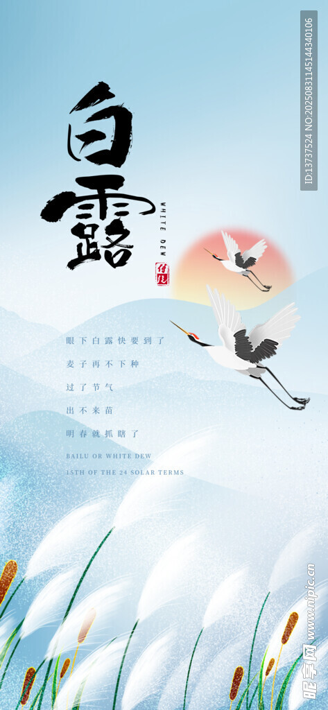 白露