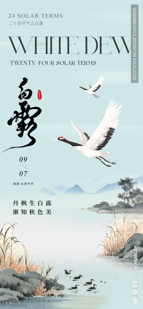 白露