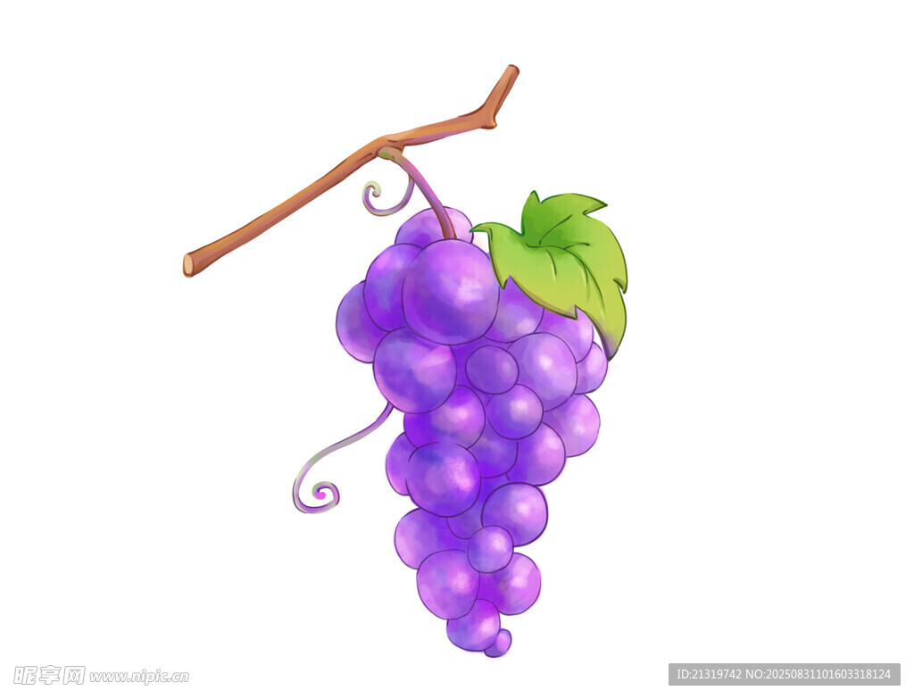 葡萄插画