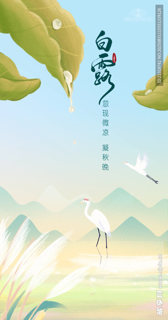 白露节气海报