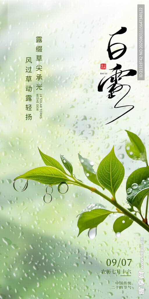白露节气海报