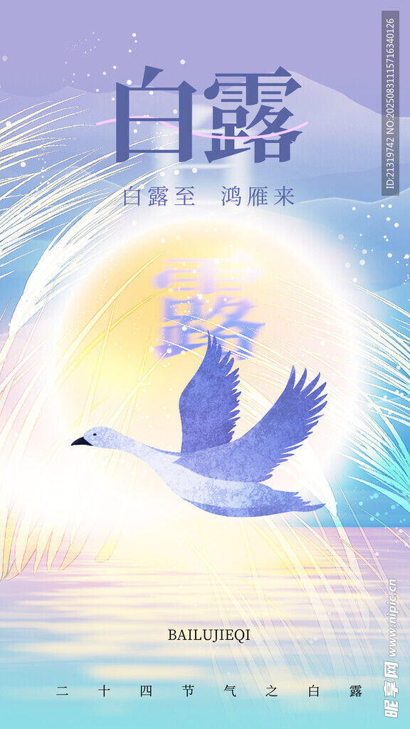 白露海报