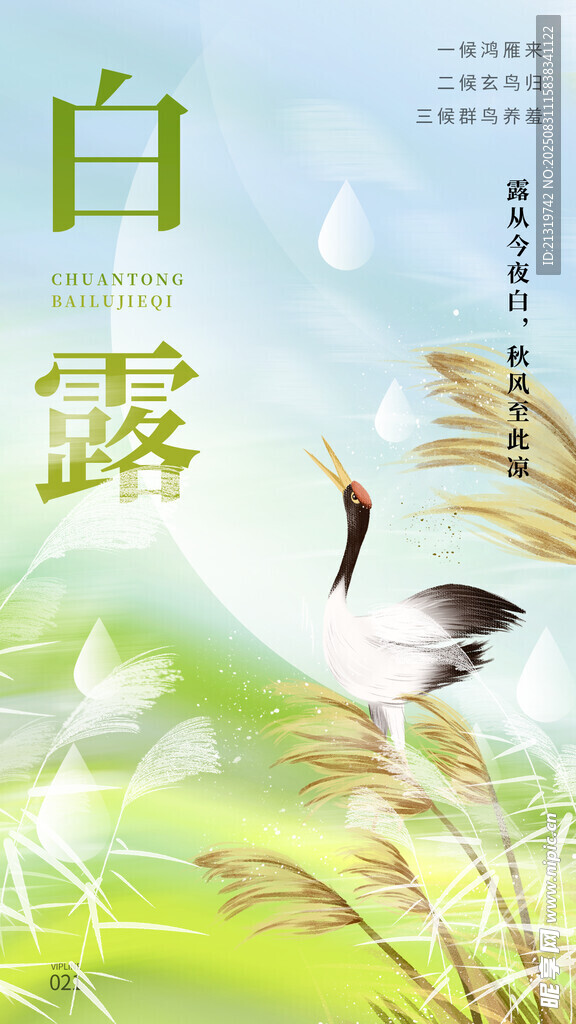 白露节气