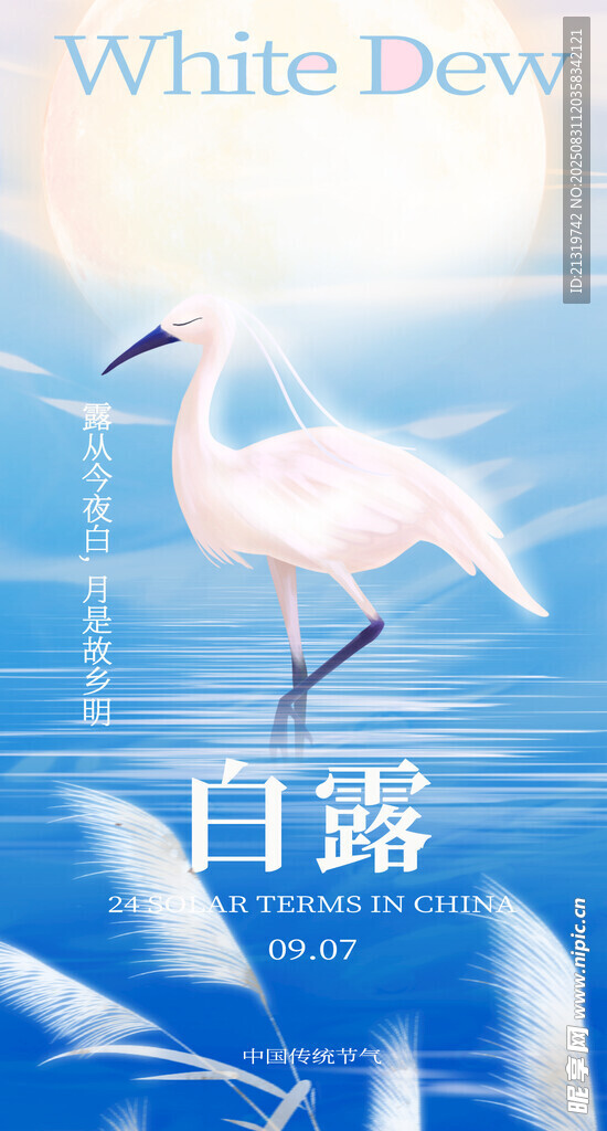 白露节气海报