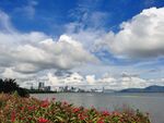 深圳湾海滨城市美丽风光