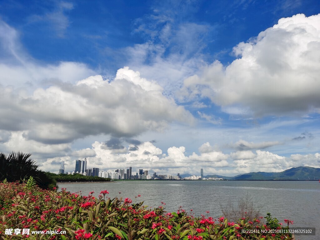 深圳湾海滨城市美丽风光