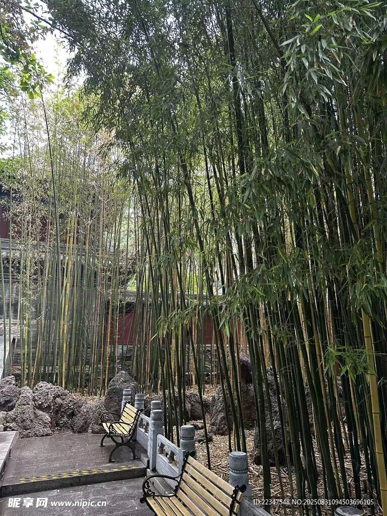 寺庙风景1