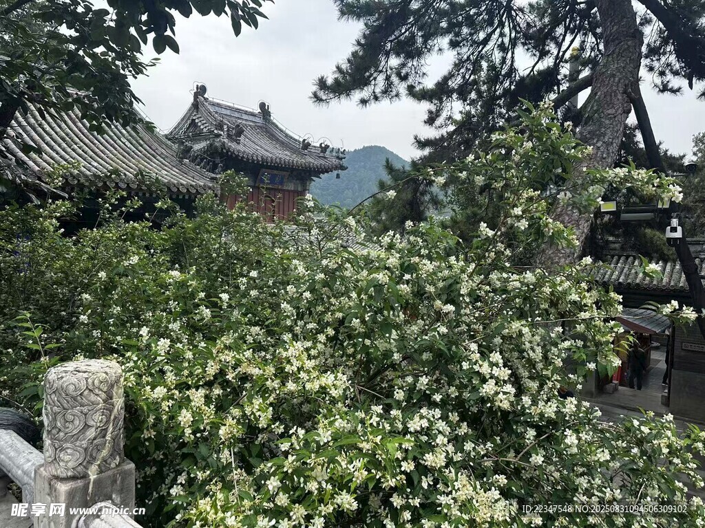 寺庙风景2