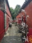 寺庙风景4