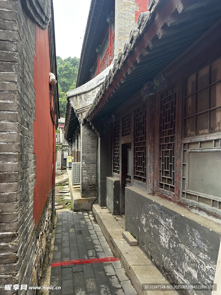 胡同