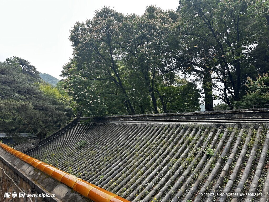 屋顶