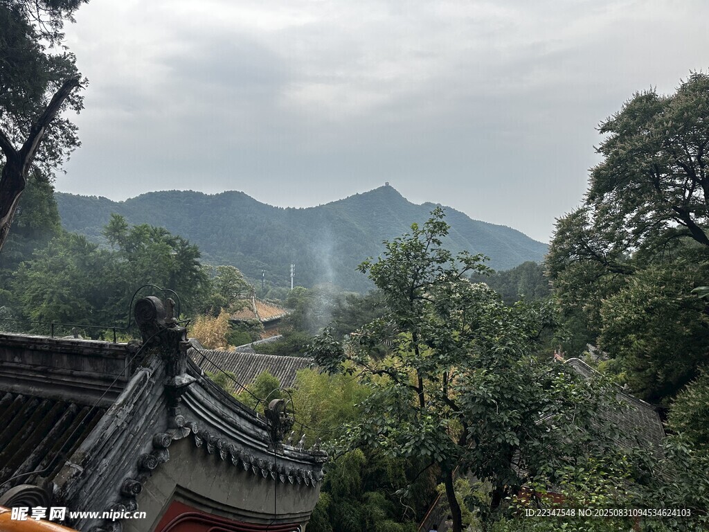 风景
