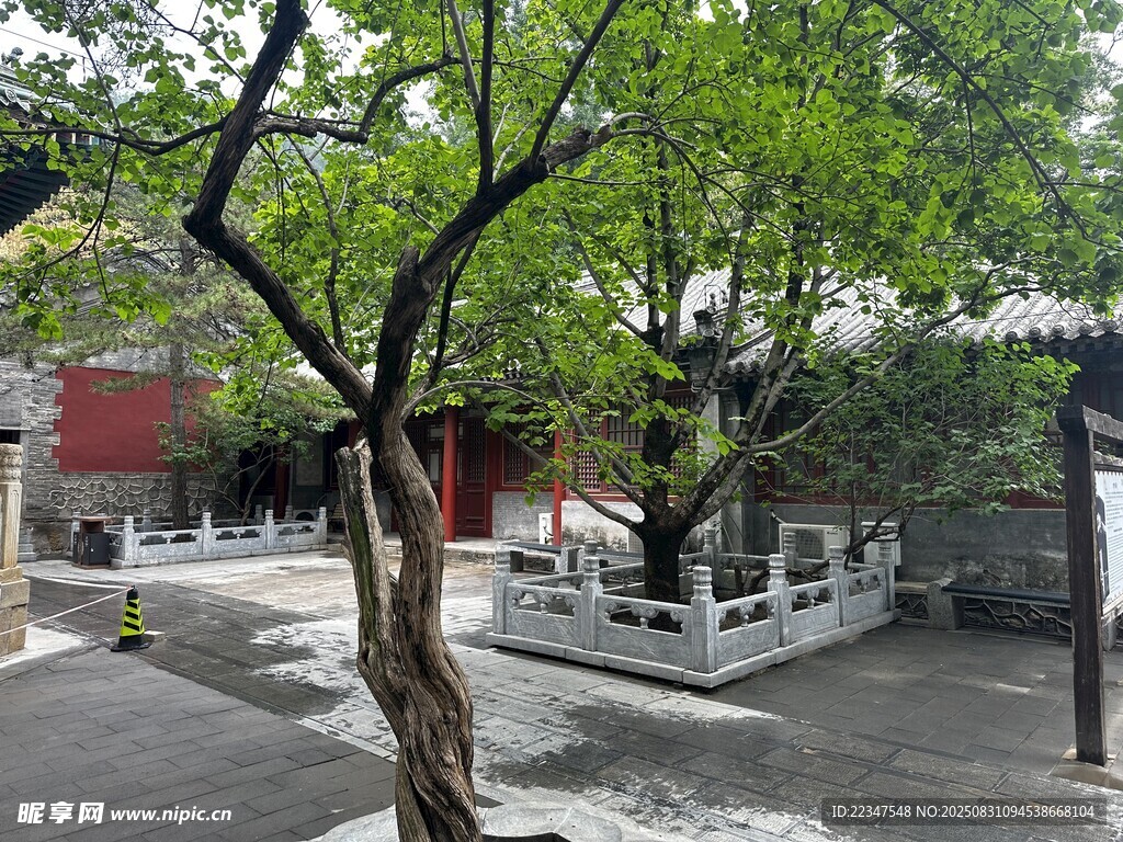 院落
