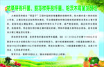 农业展板设计