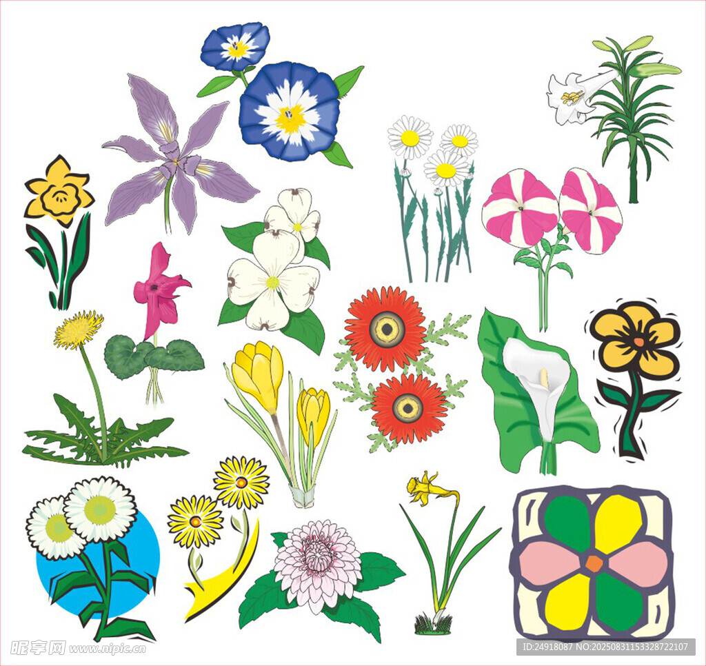 矢量花卉 花卉插画 花朵图案 