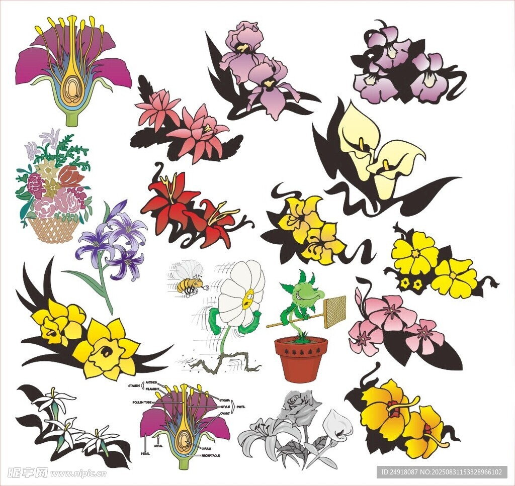 矢量花卉 花卉插画 花朵图案 