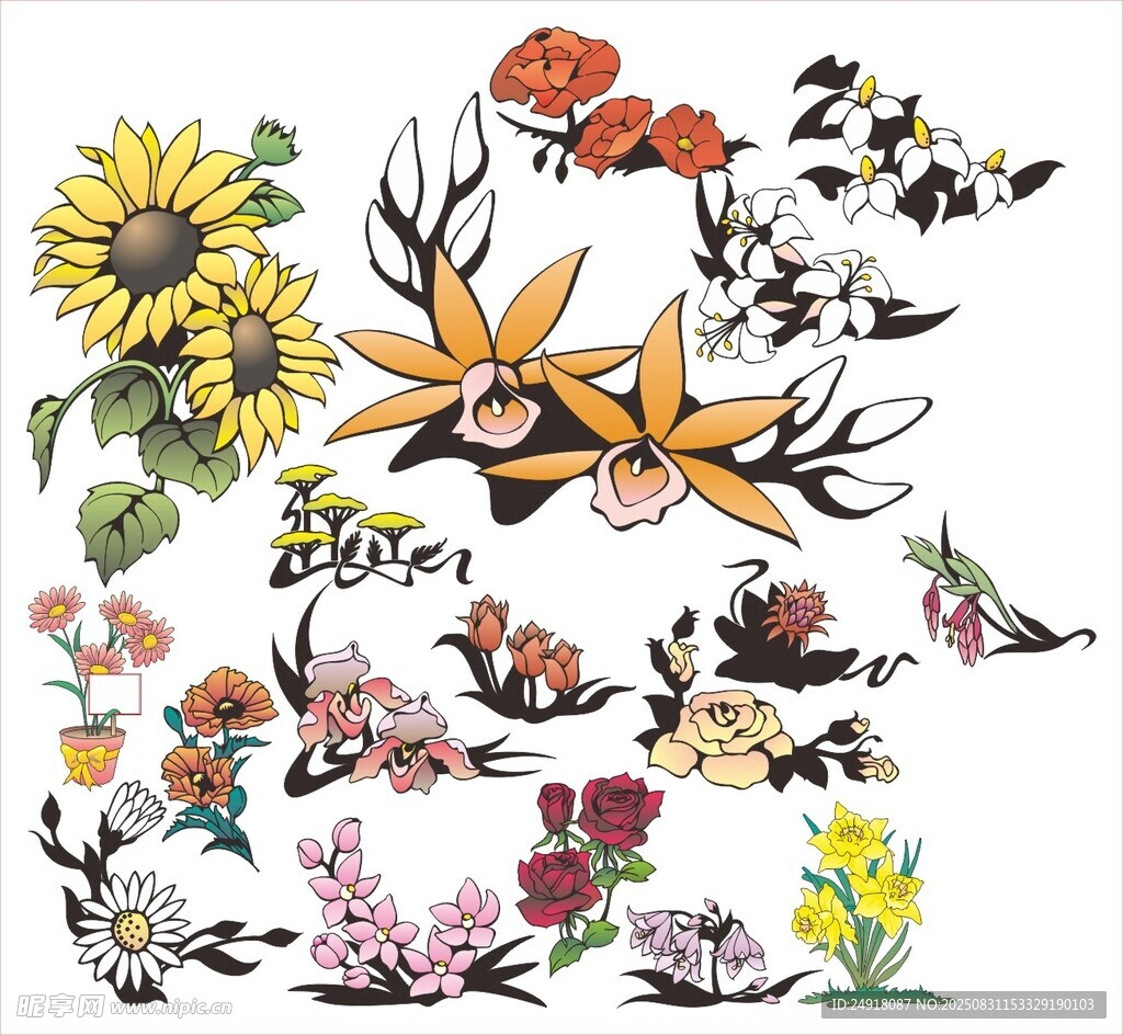 矢量花卉 花卉插画 花朵图案 