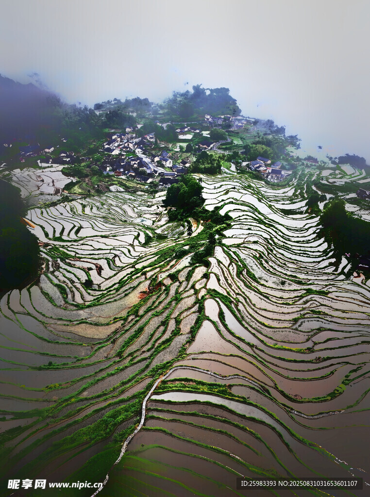 梯田