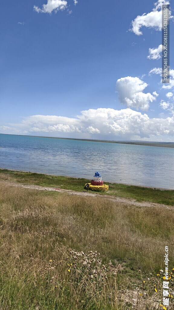 湖畔草地风光