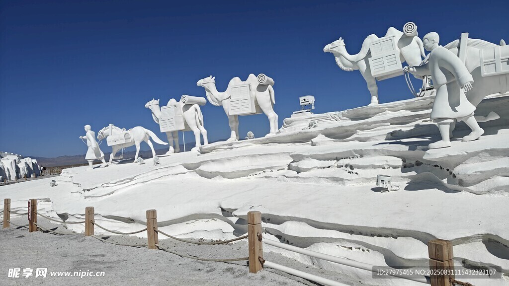 雪山上的骆驼群