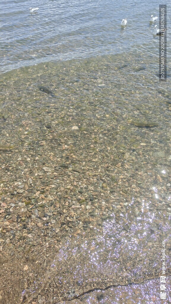 清澈海边浅水滩景象