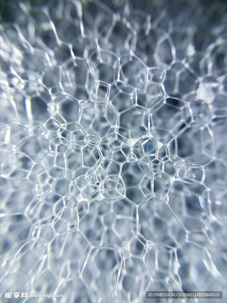 晶莹剔透的气泡世界