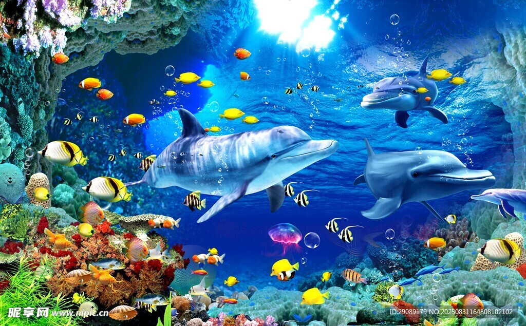 海底世界的海豚与缤纷鱼类