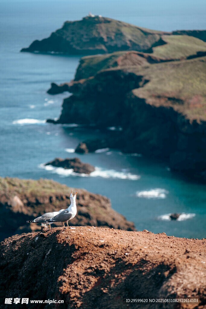 海岸灯塔风景图