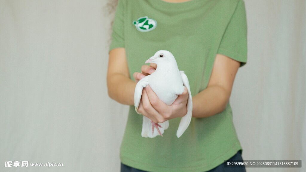 女子手持白鸽