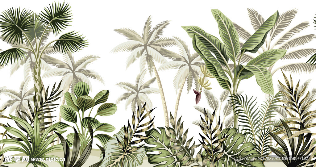 热带植物手绘插画