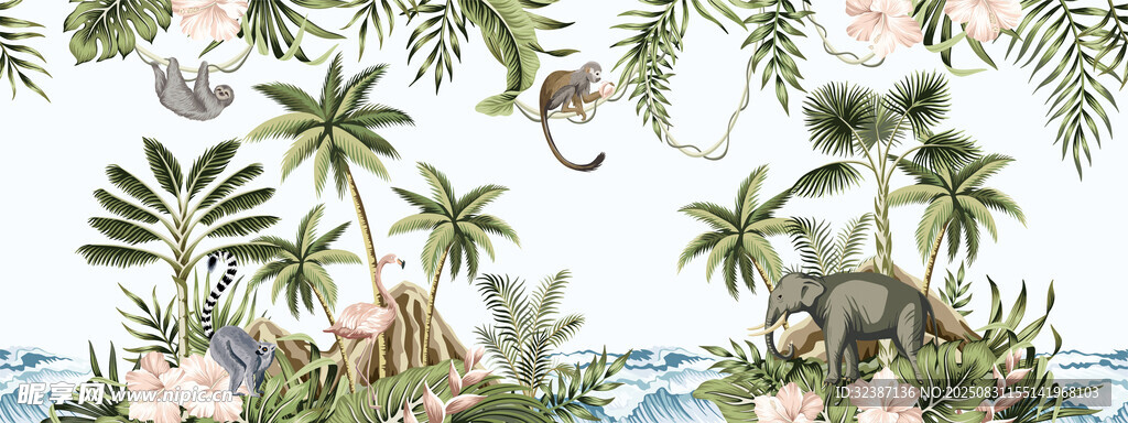 热带风情植物花卉插画