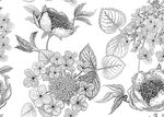花卉黑白手绘图案素材