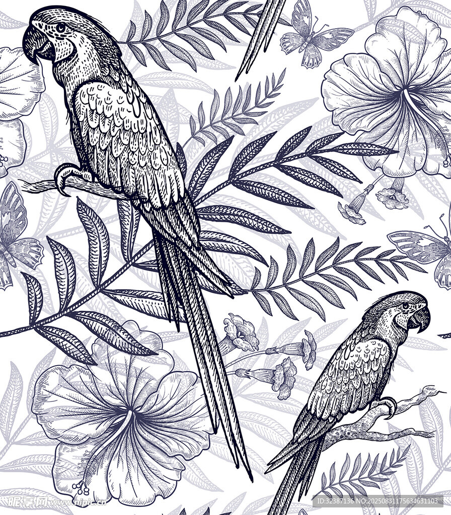 蓝白鹦鹉花卉图案插画