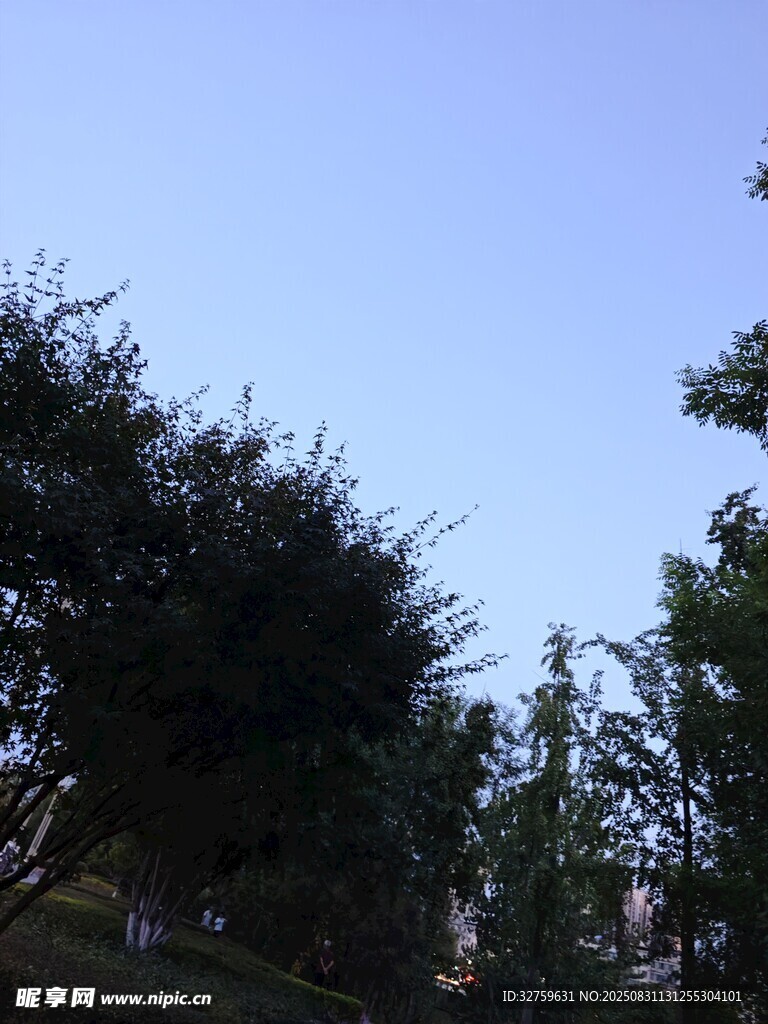 蓝天绿树自然景致