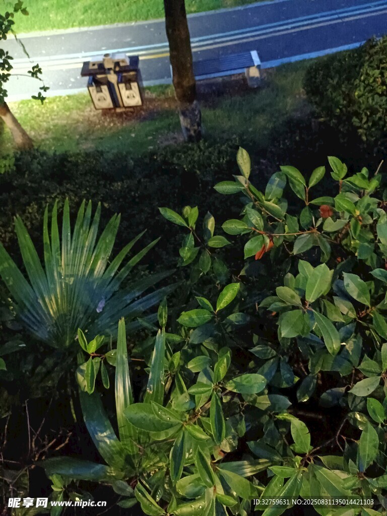 庭院绿植景观一角