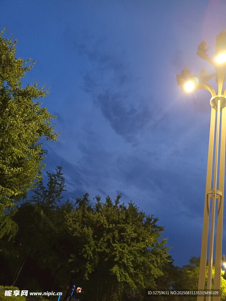 夜幕下的路灯与繁茂树木