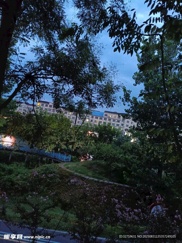 夜幕下的树林与远处景致