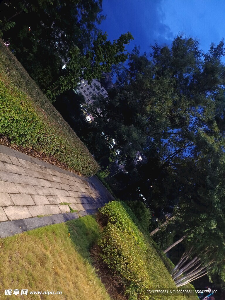 公园中的幽静砖石小路
