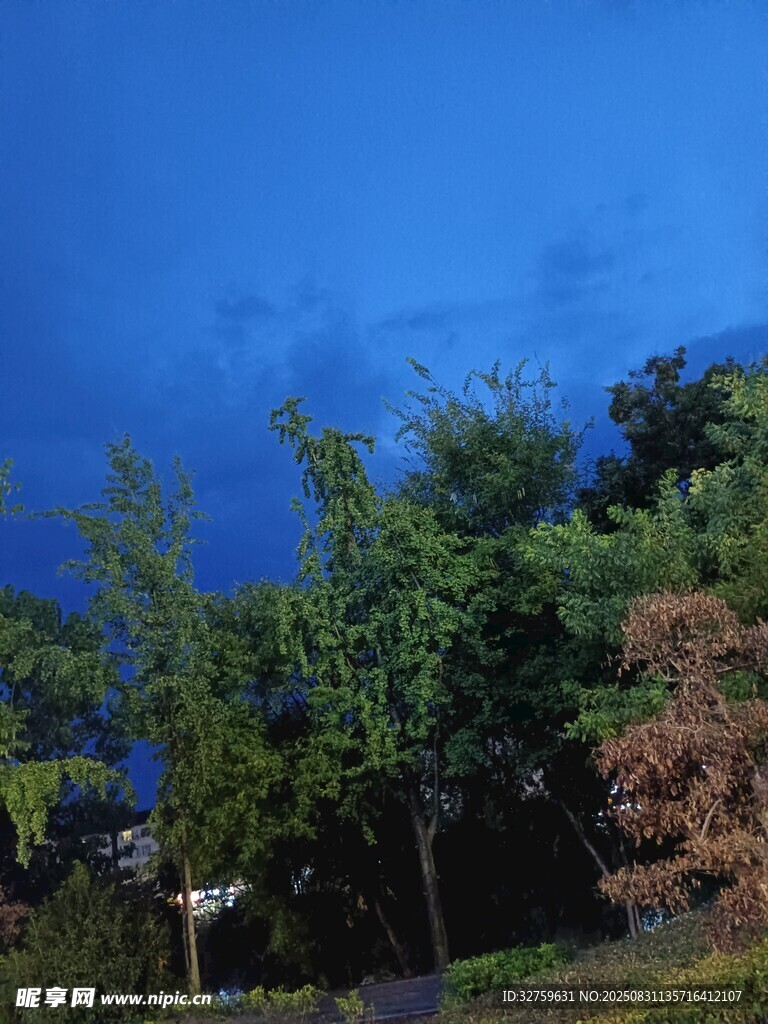 蓝天绿树的自然景致
