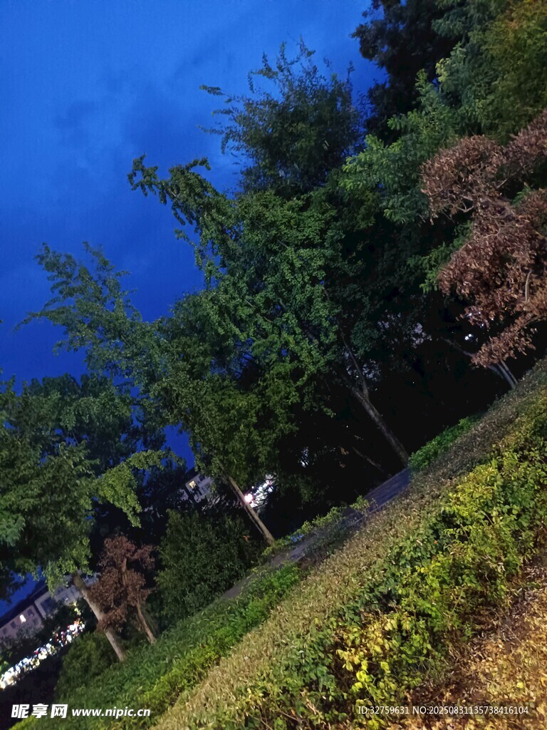 蓝天绿树间的自然景致