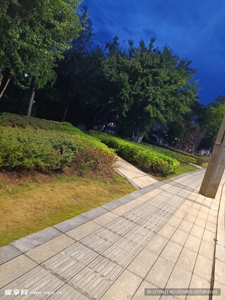 公园中的石板小径与绿植