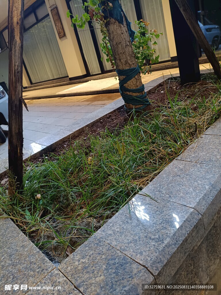 小区夜间绿化景观一角