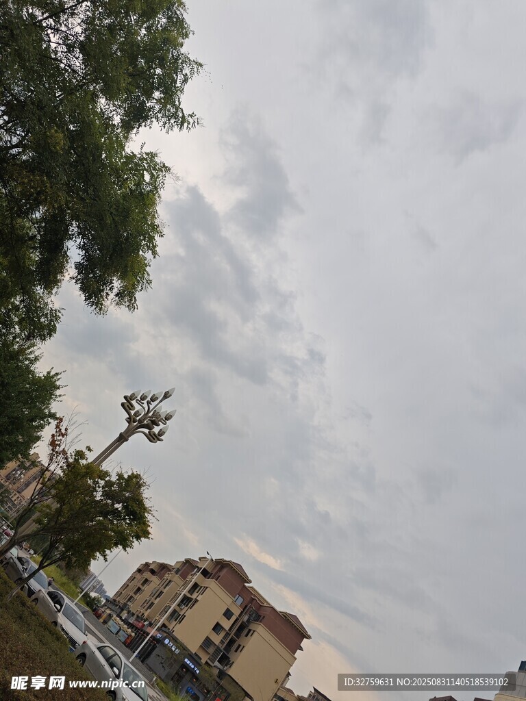 城市天空下的建筑与绿树