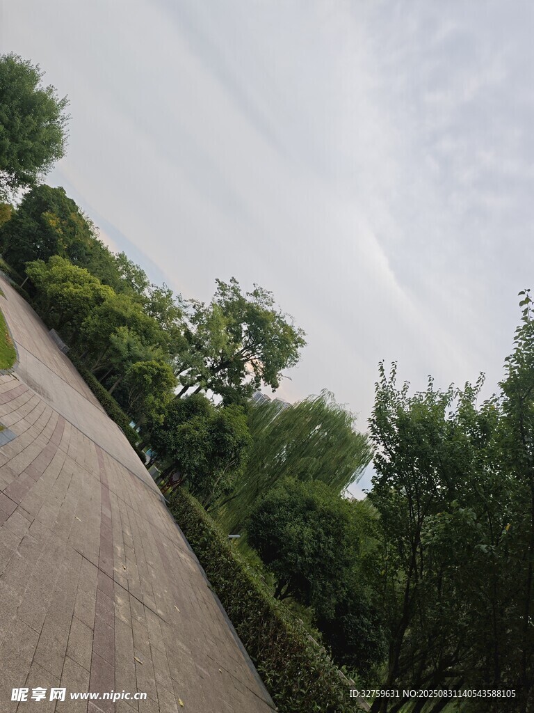 林间小路