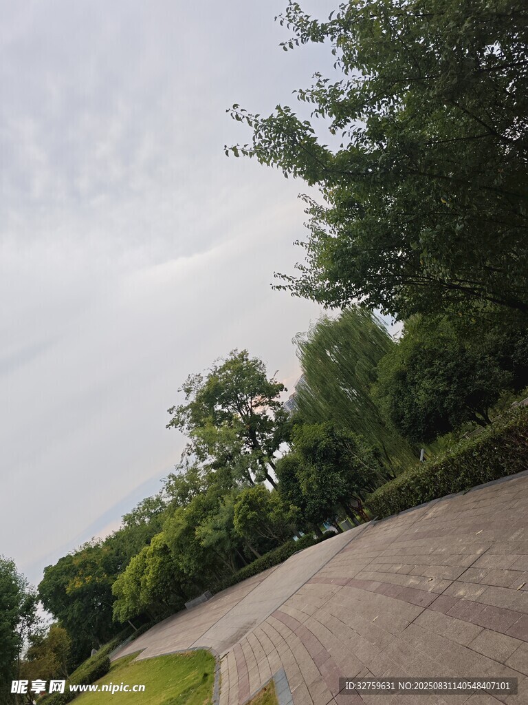林荫下的宽阔步道